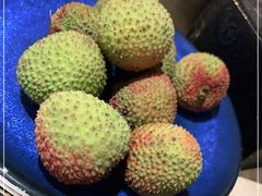 -万象·复兴号鲜肉烤肉海鲜自助(升级店)