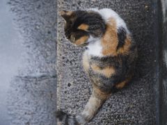 -巴金故居