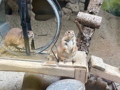 -海合安成都极地海洋公园