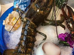 龙虾-半岛听涛蒸汽海鲜自助(K11店)