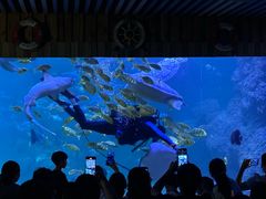 -左海海底世界