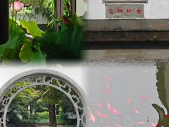 -杭州植物园