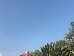 -三亚红色娘子军演艺公园景区