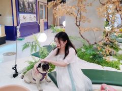 -帕帕拉兹宠物(亚洲旗舰店)