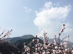 -北京鹫峰国家森林公园