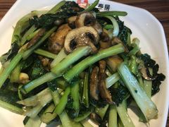 口蘑炒塔菜-六泰居·尔滨地标·东北菜(松北店)