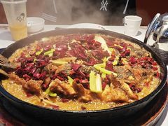 -老板恋上鱼(高新万达店)