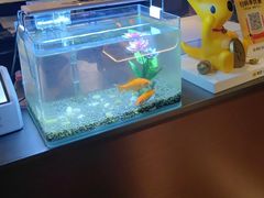 -华夏良子·足道SPA艾灸(王府井店)