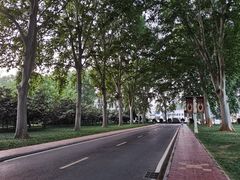 -河南省黄河迎宾馆