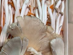 -沼津港精致料理·寿喜烧·烧鸟(漕河泾印象城店)