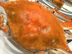-北塘海鲜·天津菜(大光明桥旗舰店)