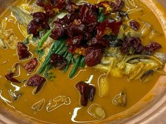 -柿合缘新京菜(国金中心商场店)