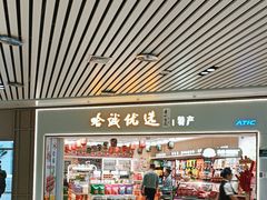 -哈尔滨太平国际机场-T2航站楼