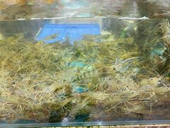 -林记生蚝·专注生蚝三十载(创意园店)