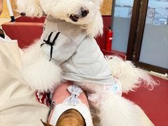 -和它·交个朋友·狗咖猫咖(爱琴海店)