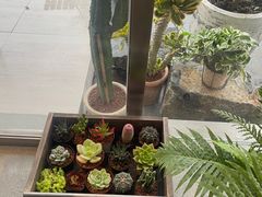 -喜茶(珠海华发商都店)