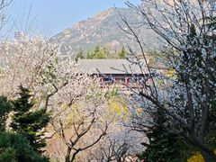 -石岛赤山风景区