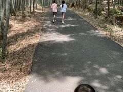 -苏州环秀晓筑养生度假村