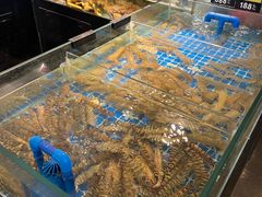 -闽海肴(北辰荟店)