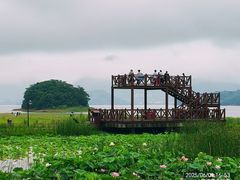 -四明湖