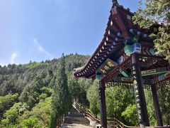 -佛慧山