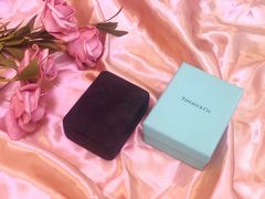 -Tiffany & Co.蒂芙尼
(天津万象城店)