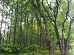 -西郊宾馆·1921餐厅