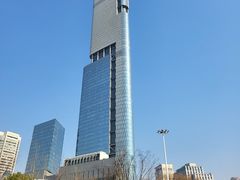 -紫峰大厦