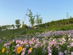 -上海山野camping·户外天幕烧烤·团建拓展营地
