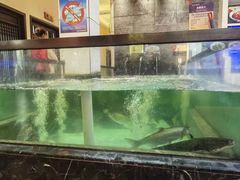 -鱼痴渔醉·食鲜集(月亮湾店)