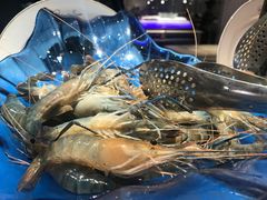 -诱货海鲜自助火锅(爱琴海购物公园东百店)