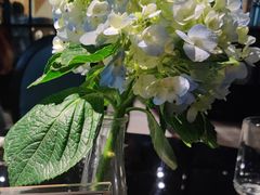 -河内西湖莲花自助餐厅