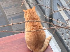 -终南山南五台景区