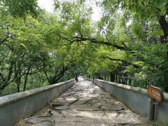 -阳台山自然风景区