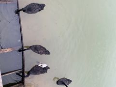 -广州白江湖森林公园