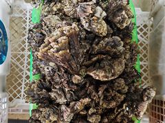 -双喜农庄·菌香园(安居家园店)