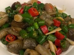 -碧丽宫大酒店(召稼楼店)