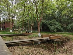 -花溪公园