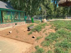 -秦皇岛野生动物园