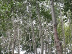 -仁和公园(顺义区)