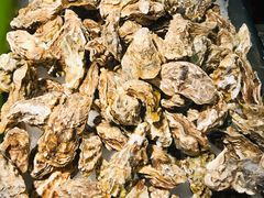 -星伦多自助料理·涮烤一体(嘉兴八佰伴店)