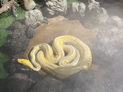 -杭州野生动物世界