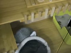 -网鱼网咖·电竞(南开百脑汇店)