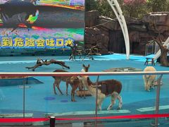 -宁波野生动物园