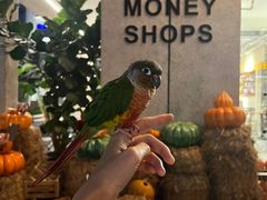 -Money Shops(愚园路店)