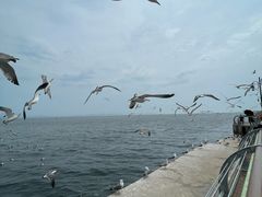 -东港音乐喷泉广场