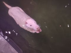 -正佳雨林生态植物园