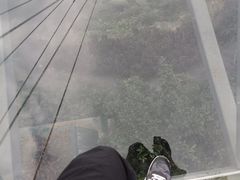 -呀诺达热带雨林