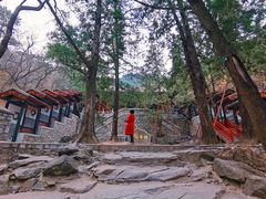 -香山公园
