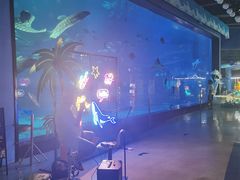-烟台海昌鲸鲨海洋公园